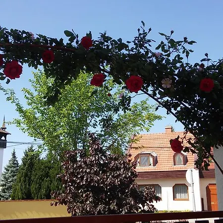 Hellasz *